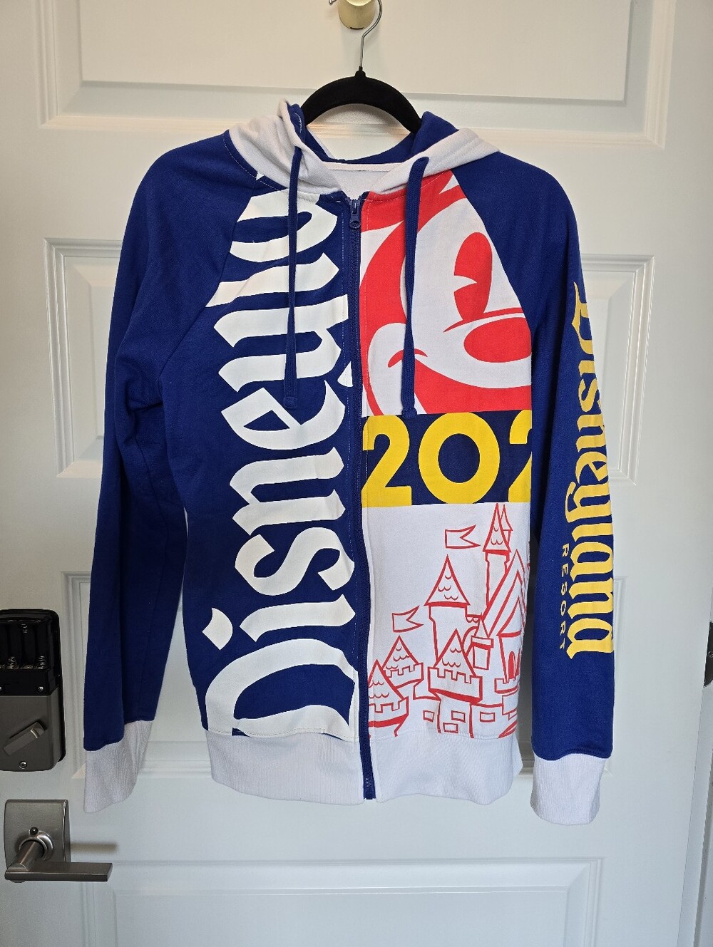 Disneyland Resort 2021 Souvenir Zip Up Hoodie